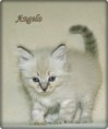 /album/angelo/angelo-6-hetes-002-jpg/